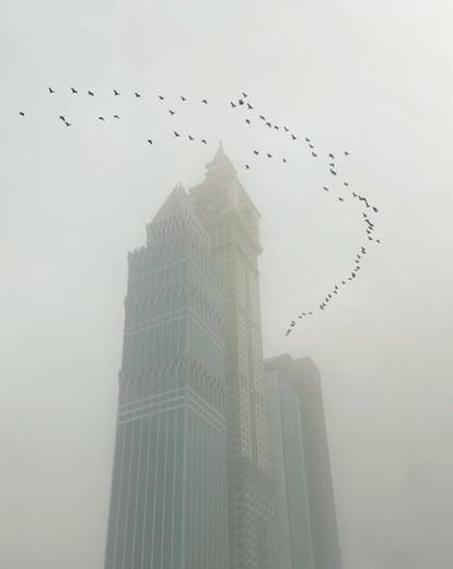 Dale Crow