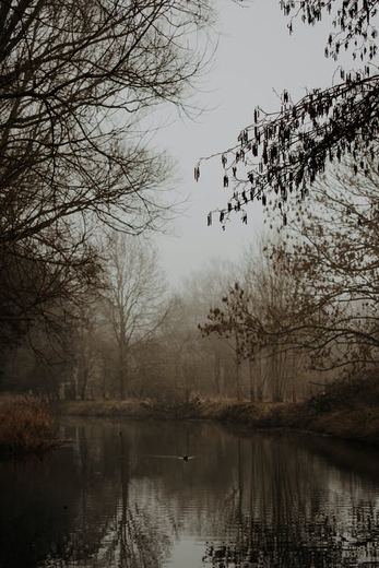 Dale Crow